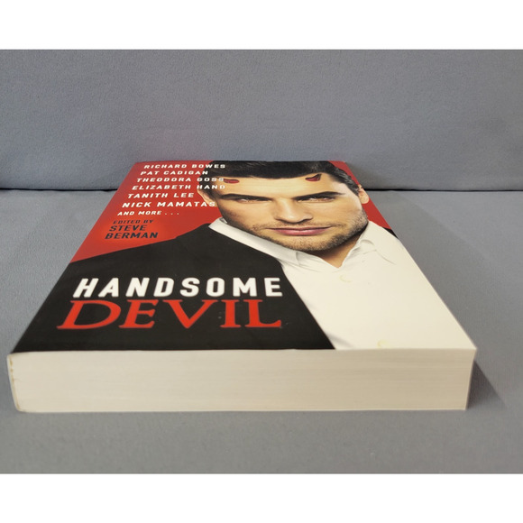 Handsome Devil Stories of Sin & Seduction Book Paperback 2013 - Picture 7 of 14